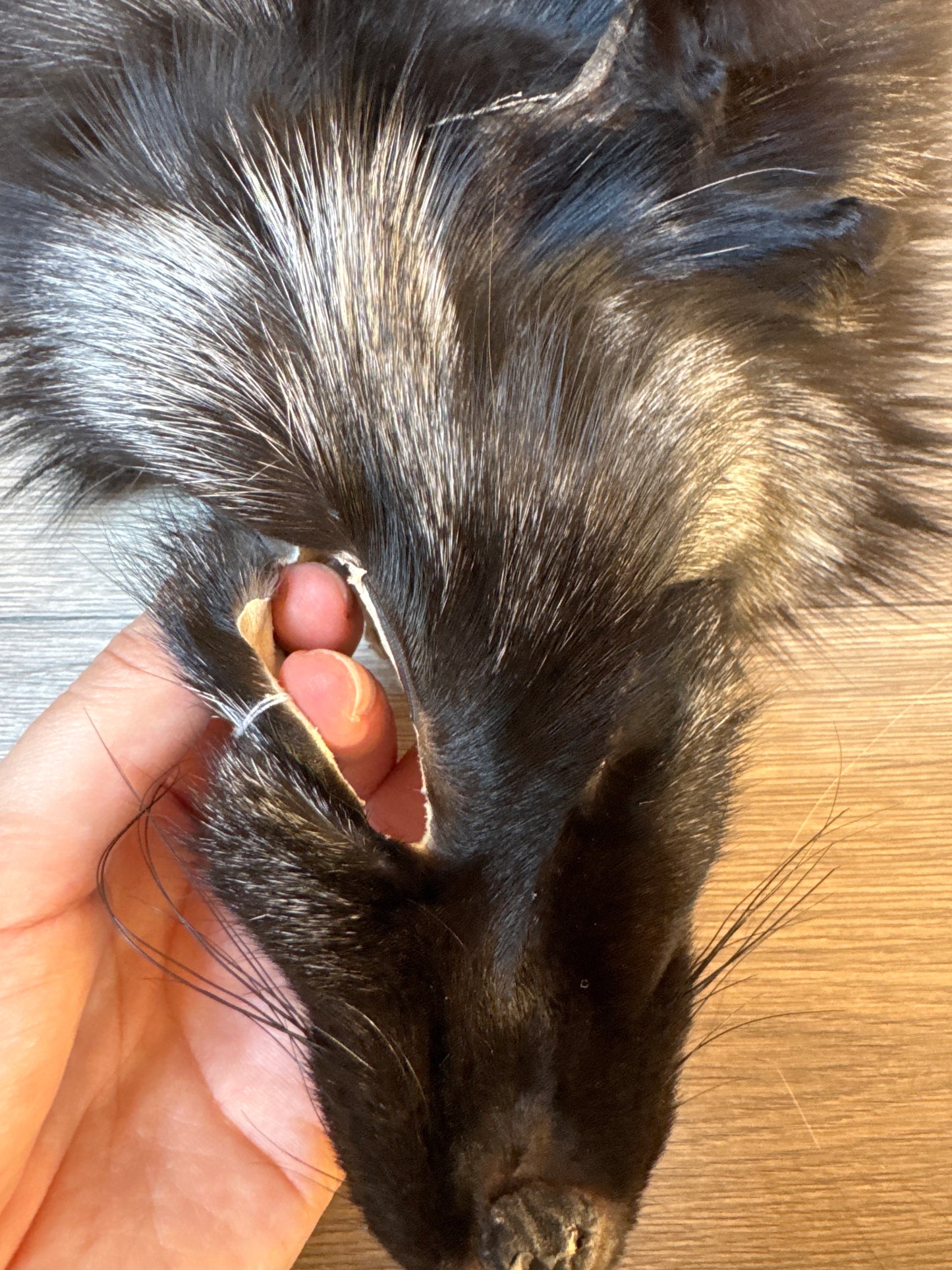 Silver fox pelt (5)