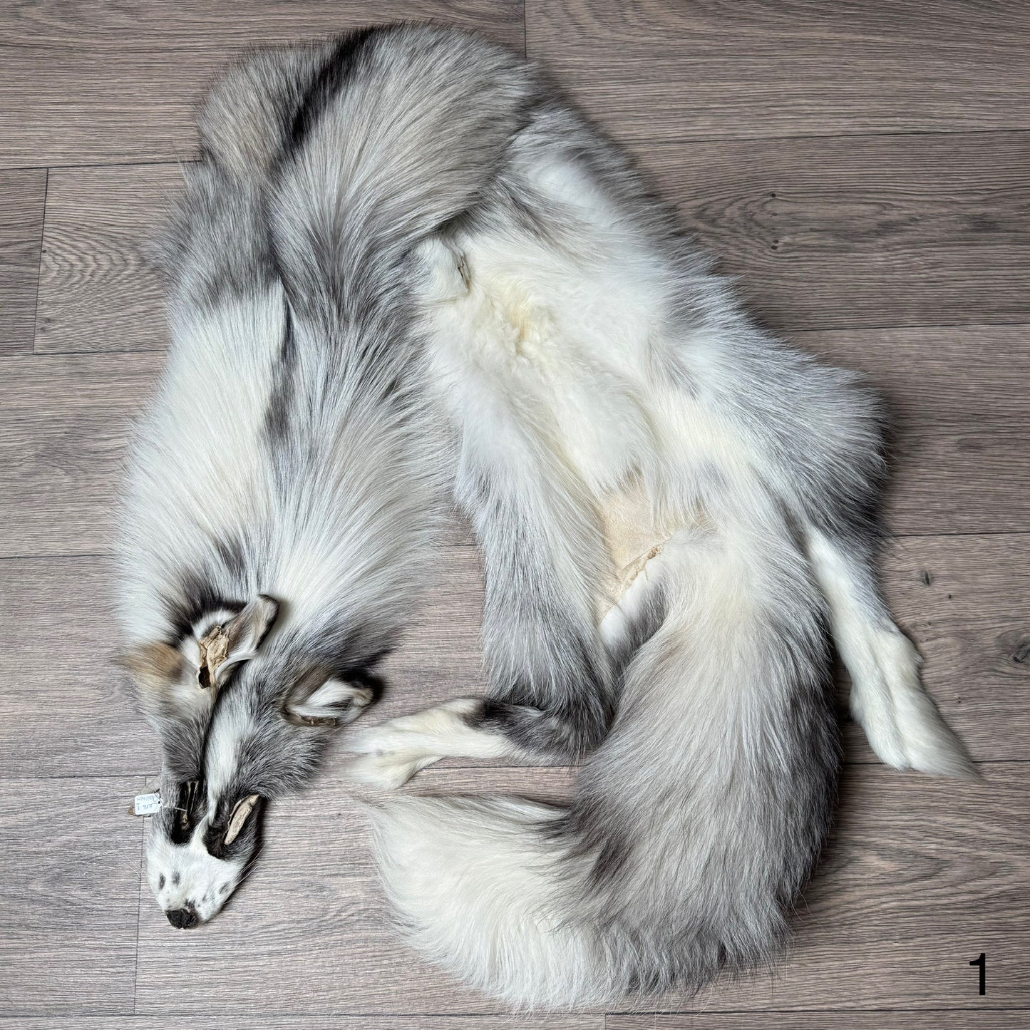 Cross Platinum fox pelt (1)