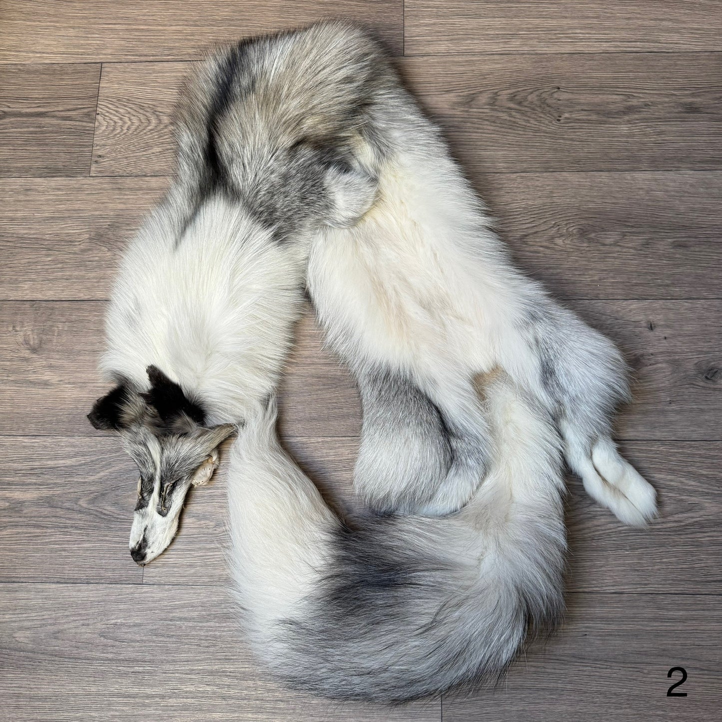 Cross Platinum fox pelt (2)