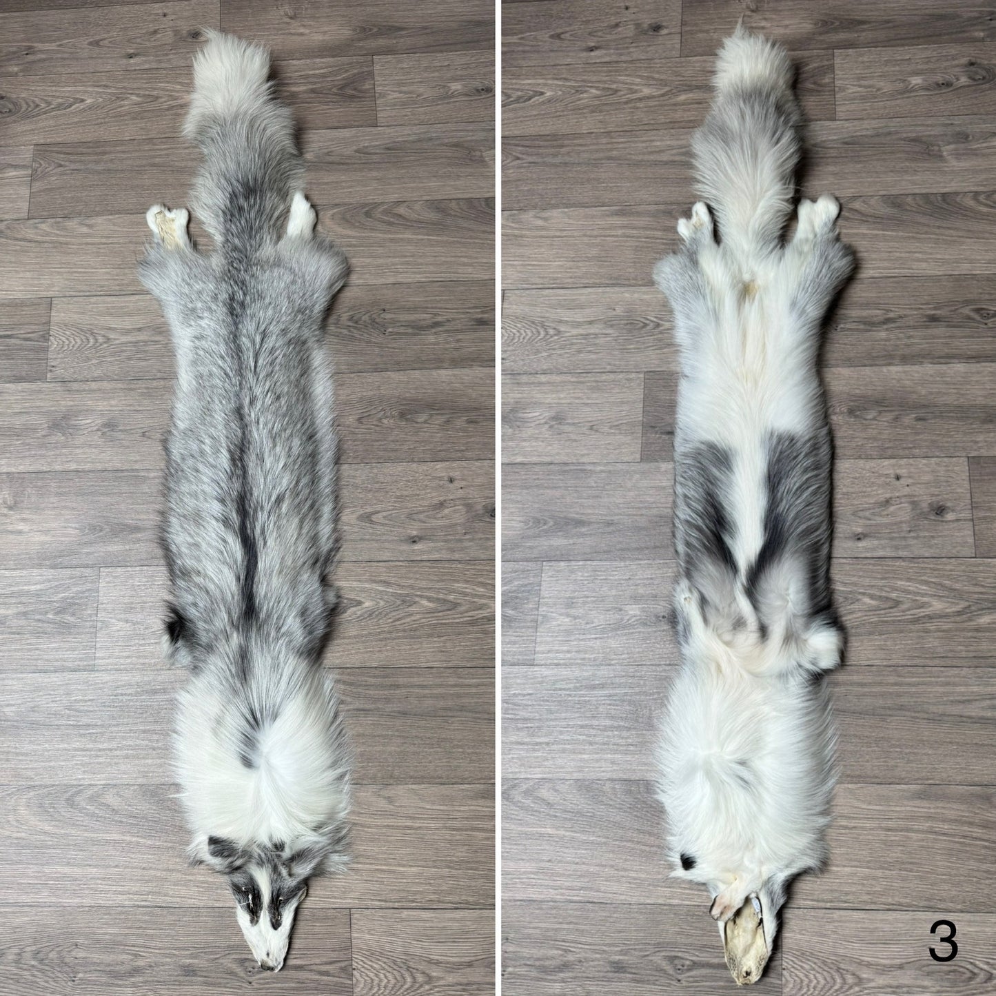 Cross Platinum fox pelt (3)