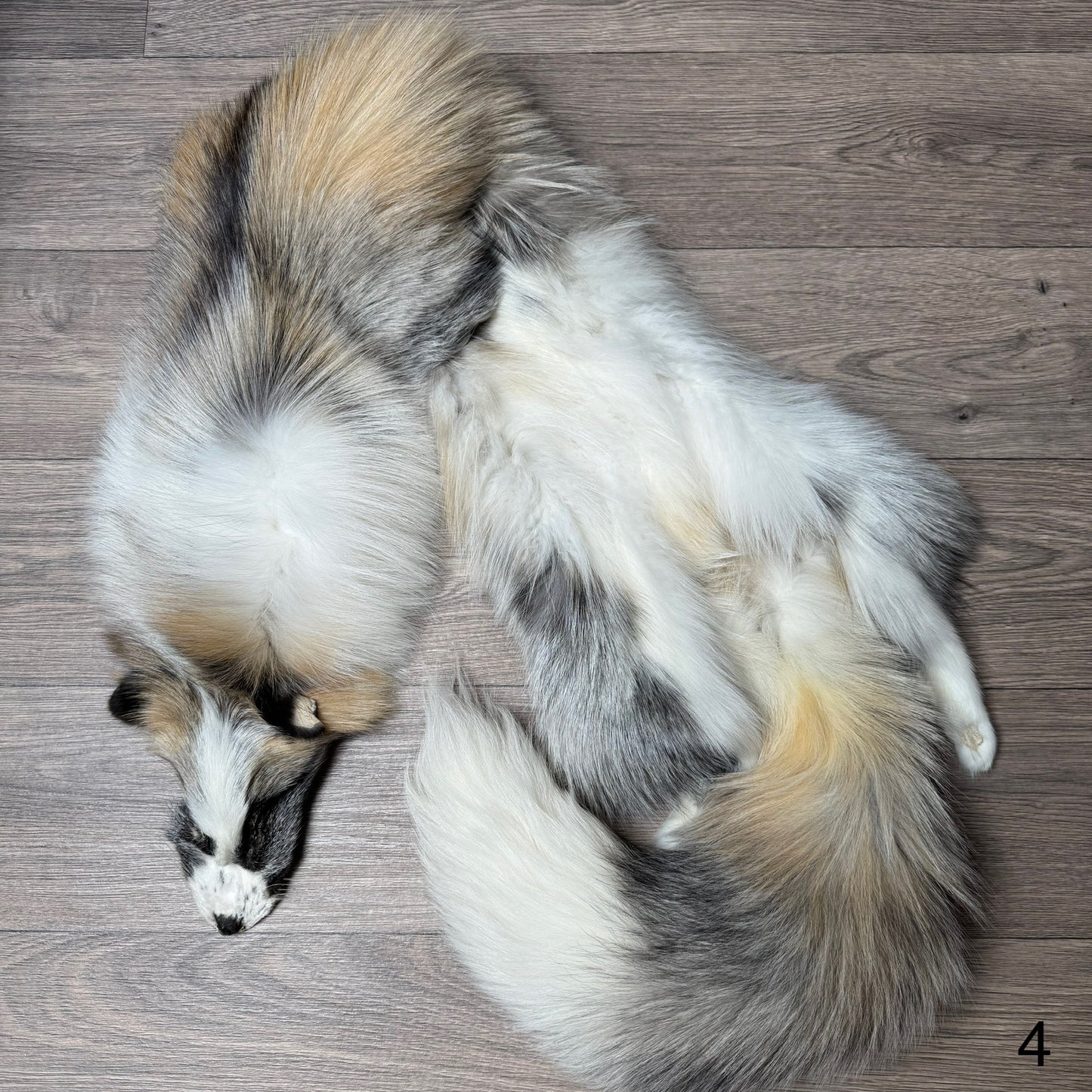 Cross Platinum fox pelt (4)