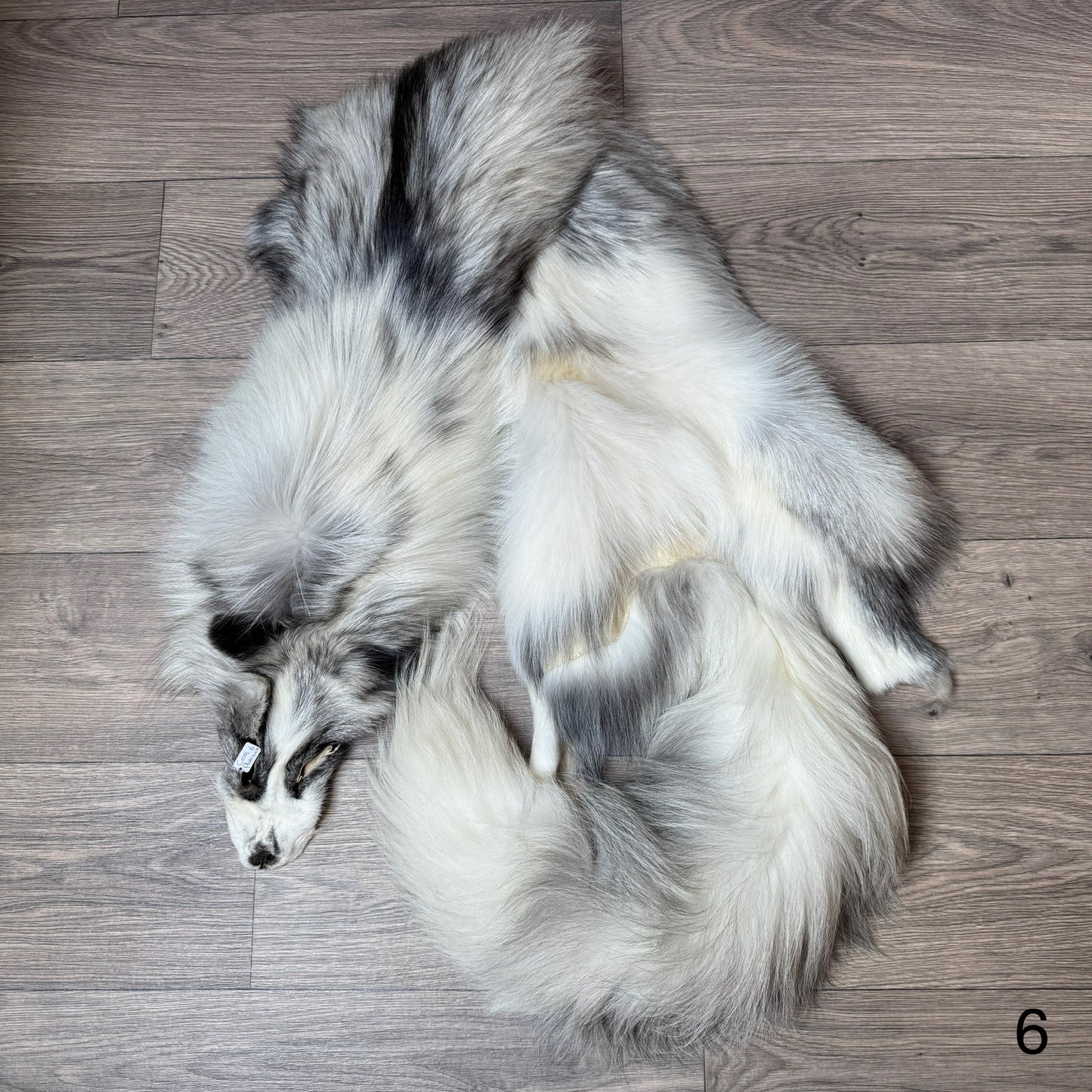 Cross Platinum fox pelt (6)