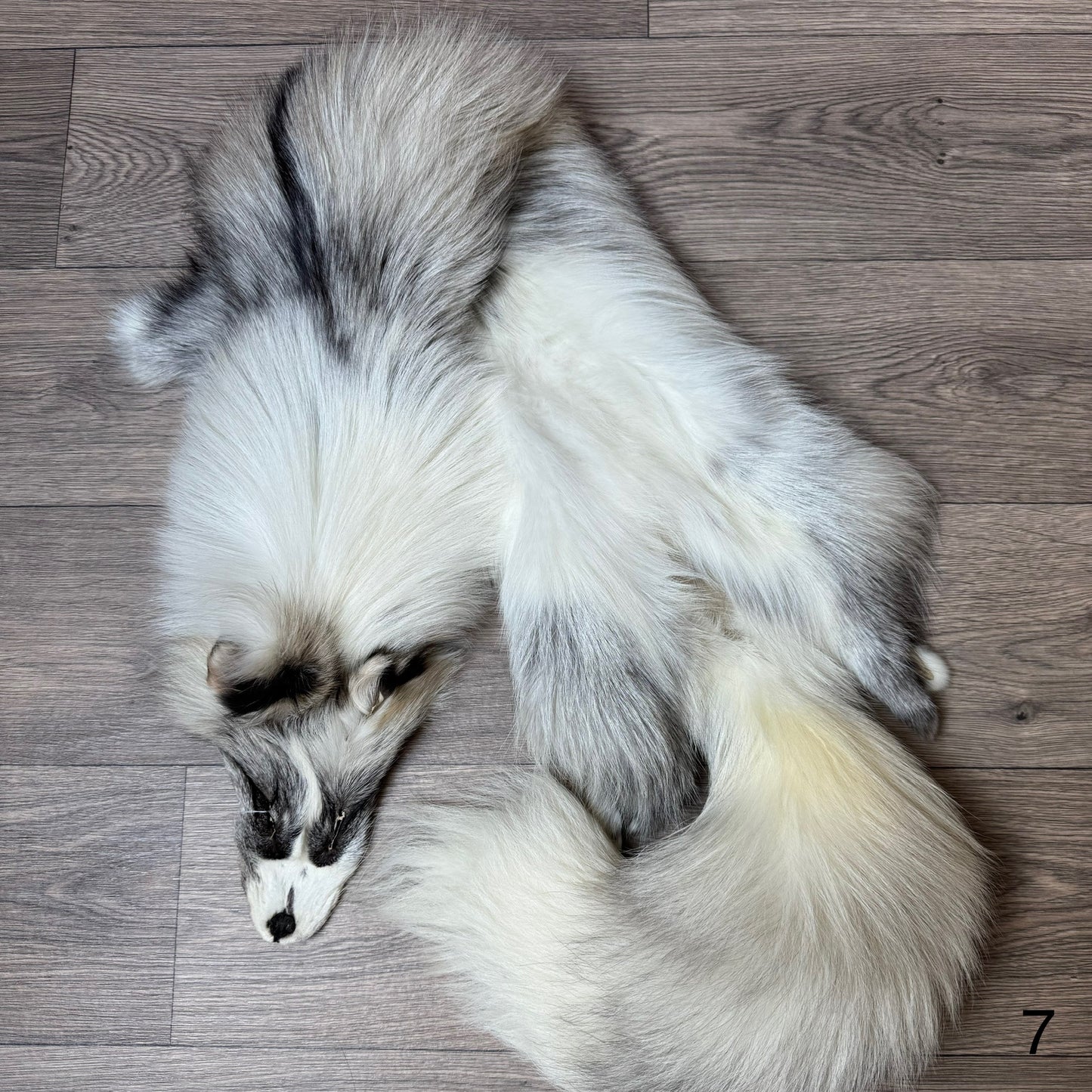 Cross Platinum fox pelt (7)