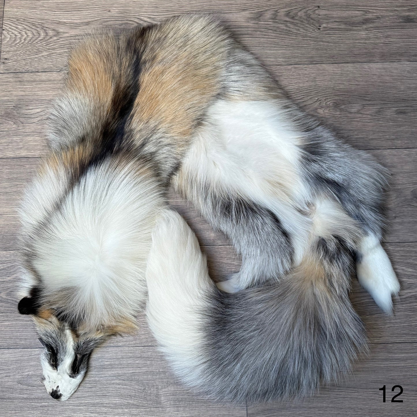 Cross Platinum fox pelt (12)