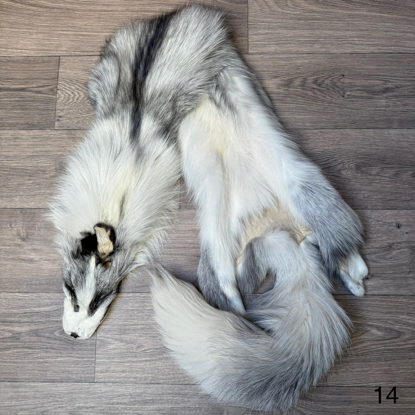 Cross Platinum fox pelt (14)