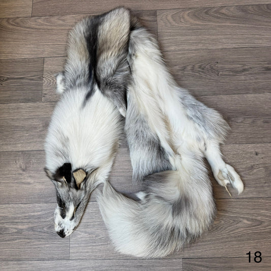 Cross Platinum fox pelt (18)