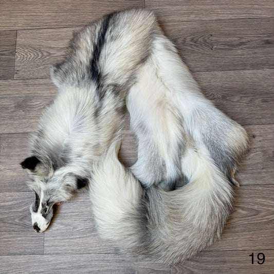 Cross Platinum fox pelt (19)