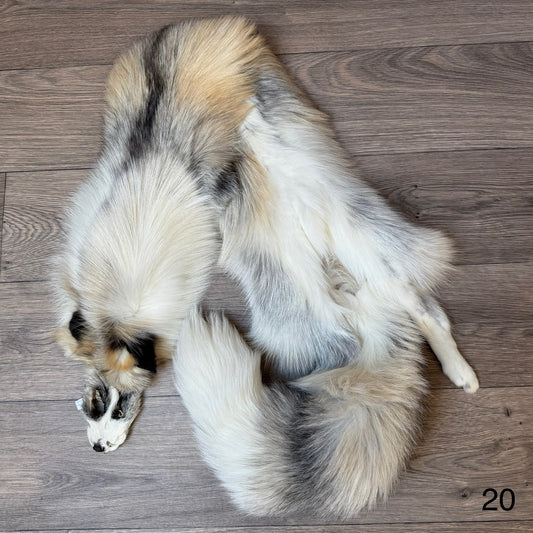 Cross Platinum fox pelt (20)