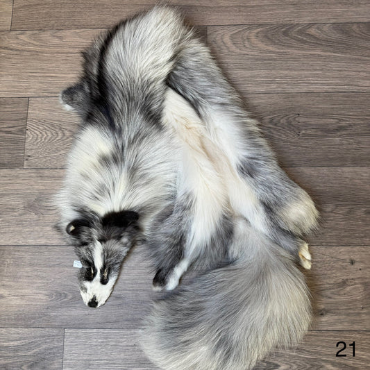 Cross Platinum fox pelt (21)