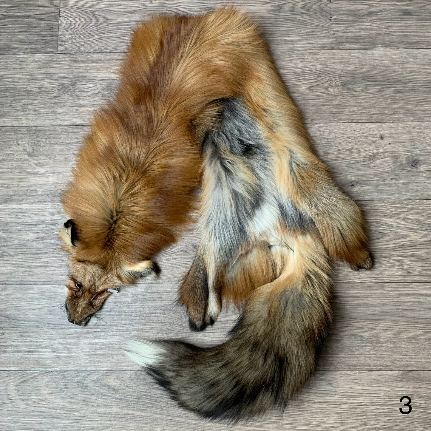 Gold fox pelt (3)