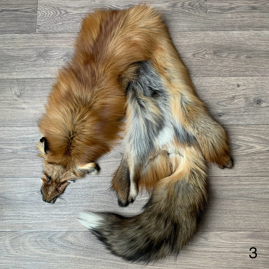 Gold fox pelt (3)