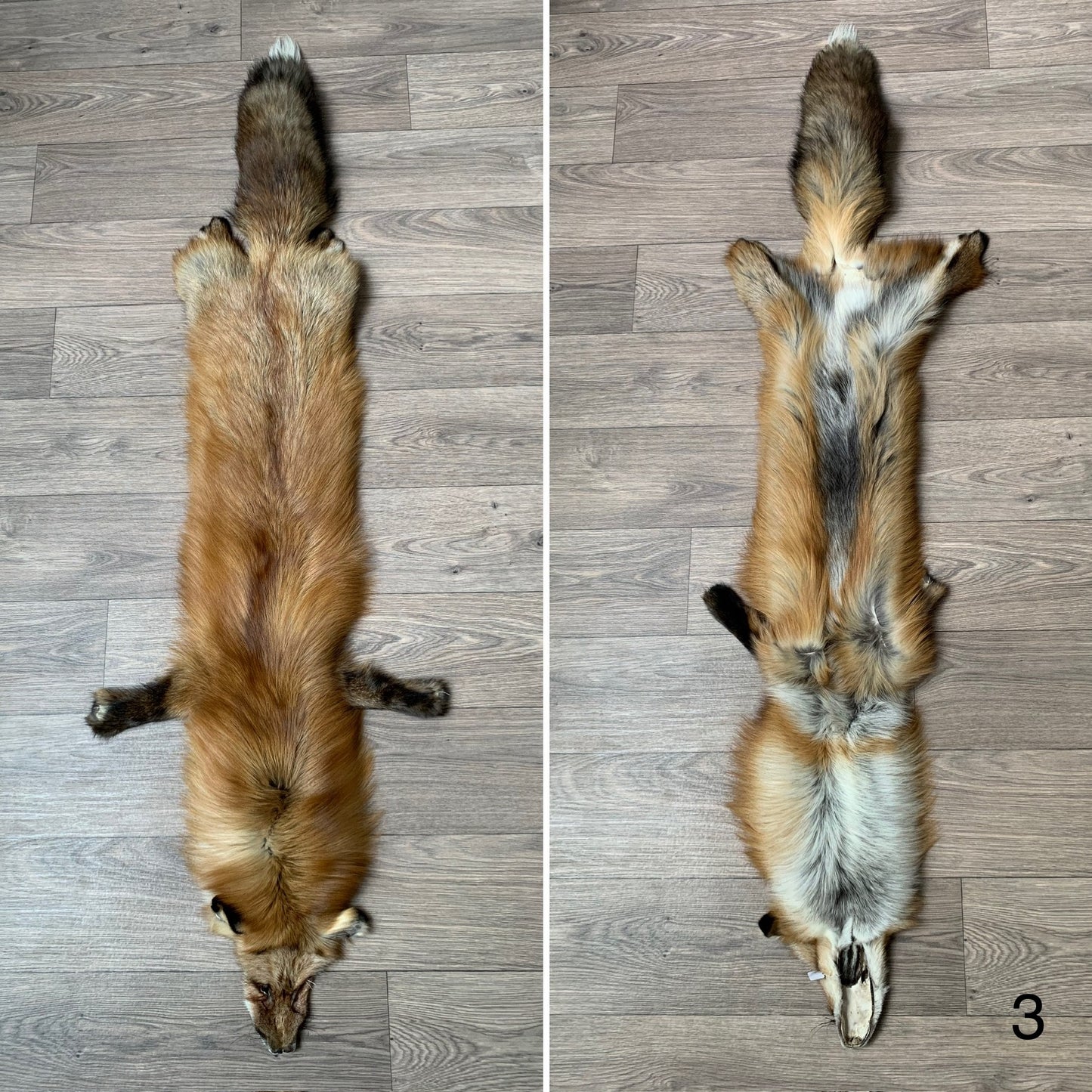 Gold fox pelt (3)
